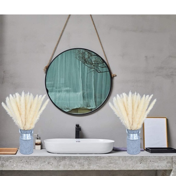 Pampas Grass - Picture 2 of 5